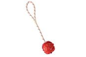 Hund - Trixie Ball on Rope ø 4.5/35 cm assorted colours - TX33481