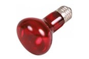 Reptiler - Trixie Infrared Heat Spot Lamp 75W R63 E27 - TX76096