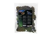 Smådyr - Trixie Terrarium moss 200g - TX76155