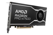 Grafikkort - AMD Radeon Pro W7500 - 8GB GDDR6 RAM - Grafikkort - 100-300000078