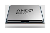 Prosessor/CPU - AMD EPYC 8124P / 2.45 GHz processor - OEM Prosessor/CPU - 16 kjerner - 2.45 GHz - AMD SP6 - Bulk (uten vifte) - 100-000001135