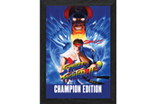 Reklameartikler - Pixel Frames - Plax SF2 Champion Edition - Bilde - 849172014633