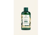 Kroppspleie - The Body Shop Moringa Shower Gel 250 ml - 5028197237370