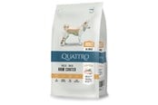 Hund - Quattro All Breed with Poultry Adult 12kg - 13053