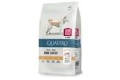 Hund - Quattro All Breed Active Adult 12kg - 13050