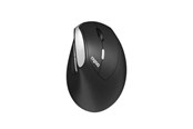 Mus - RAPOO EV250 mouse - Ergonomisk mus - Optical / gyroscopic - 6 - Svart - 13531