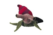 Dukker, Bamser & Utstyr - Beleduc Hand Puppet Snail - 17.40033