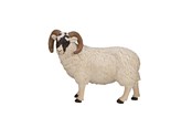 Leketøy - Mojo Farmland Black Head Sheep Ram - 387081 - 387081