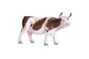 Leketøy - Mojo Farmland Simmental Cow - 387220 - 387220