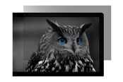 Skjerm - Natec OWL display privacy filter - 27" - NFP-2118