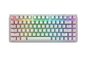 Tastatur - Dell Alienware Pro Wireless Gaming Keyboard - keyboard - QWERTY - US - lunar light - Gamingtastatur - Amerikansk Engelsk - Hvit - PRO-KB-W-WW