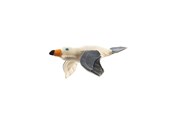 Hund - Hunter - Dog toy maritime sea gull - (64668) - 64668