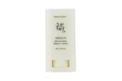 Ansiktspleie - Beauty of Joseon - Matte Sun Stick: Mugwort + Came - 8809864766884