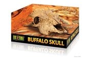 Reptiler - EXO TERRA - Cave Buffalo Skull  - (222.2057) - 222.2057