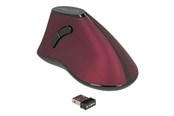 Mus - DeLOCK - vertical mouse - 2.4 GHz - black / red - Vertical mouse - Optisk - 5 - Svart - 12528