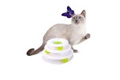 Katt - AFP All For Paws - Cat Toy Interactive Tower Of Butterfly 25X25X14Cm - (787.7560) - 787.7560