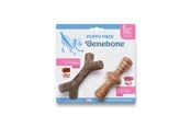 Hund - Benebone - Puppy 2-Pack (Maplestick & Zaggler) - (854111004705) - 854111004705