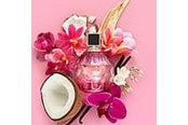 Parfyme & Dufter - Jimmy Choo Rose Passion Edp Spray - 3386460137560