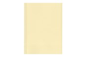 Arkivering & Oppbevaring - Esselte - file folder - for A4 - yellow (pack of 100) - 44102