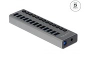 USB-hub - DeLOCK - hub - 13 ports USB-hub - USB 3.0 - 13 porter - Grå - 63738