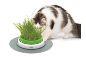 Katt - Catit Senses 2.0 Grass Planter 24x24x13cm - H43161