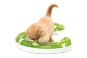 Katt - Catit Senses 2.0 Play Circuit 27x26.5x8 cm - H43154