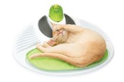 Katt - Catit Senses 2.0 Wellness Center 47x51.5x11.5 cm - H43153