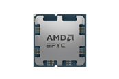 Prosessor/CPU - AMD EPYC 4124P - Tray Prosessor/CPU - 4 kjerner - 3.8 GHz - AMD AM5 - Bulk (uten vifte) - 100-000001570