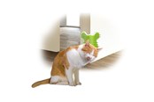 Katt - AFP All For Paws - Groomer Corner 14*12*9Cm - (781.1020) - 781.1020