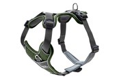 Hund - Hunter - Harness Divo M green/grey - (67592) - 67592