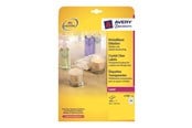 Papir, Fotopapir & Etiketter - Avery L7781 - transparent polyester labels - 1000 label(s) - 25.4 x 45.7 mm - L7781-25