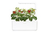 Smarthus - Click & Grow - Smart Garden 3 Start kit (Color: White) (SGS1UNI) - SGS1UNI