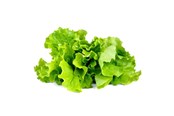 Smarthus - Click & Grow Click and Grow - Smart Garden Refill 3-pack - Green Lettuce (SGR32X3) - SGR32X3