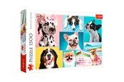 Puslespill - Trefl Puzzle - Puzzles Cute dogs (1500 pieces) Gulv - TFL26186