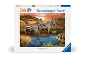 Puslespill - Ravensburger Zebras In Sunset 500p - 12000365