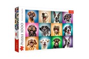 Puslespill - Trefl Puzzle - Funny dog portraits (1000 pieces) Gulv - TFL10462