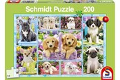 Puslespill - Schmidt Puzzle - Puppies (200 pieces) Gulv - SCH6162