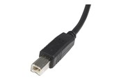 USB - StarTech.com 6 ft. (1.8 m) USB Printer Cable - USB 2.0 A to B - Printer Cable - Black - USB A to B (USB2HAB6) - USB cable - USB to USB Type B - 1.8 m - USB2HAB6