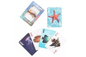 Brettspill & Puslespill - Kikkerland - Fish 3D Cards - GG241