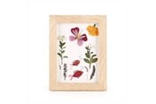 Dekorasjon - Kikkerland - HUCKLEBERRY PRESSED FLOWER FRAME (HB02-F) - HB02-F