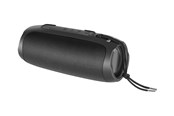 Bærbare festhøyttalere - STREETZ S350 - speaker - for portable use - wireless - S350-BLK