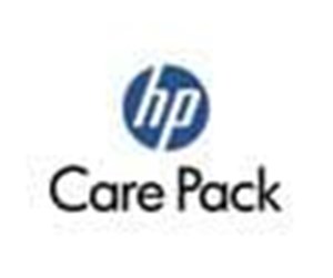 Service & Support - HP eCare Pack/Instl Onsite f DAT DVD-ROM - U2090E