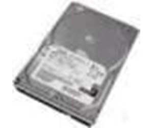 Harddisk - IBM - 80GB - Harddisk - 40K6876 - SATA-300 - 40K6876