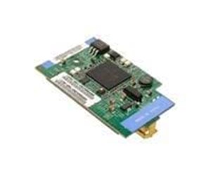 Nettverksadapter - IBM Ethernet Expansion Card - 39Y9310