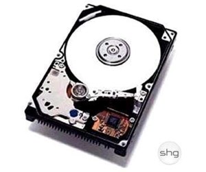 Harddisk - IBM Express 500GB 3.5" Simple-Swap SATA - 500GB - Harddisk - 41Y8218 - SATA-300 - 41Y8218