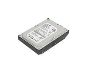 Harddisk - Lenovo 500 GB - 500GB - Harddisk - 43R1990 - SATA-300 - 3.5" - 43R1990