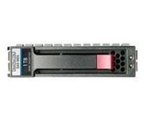 Harddisk - HP Dual Port Midline - 1TB - Harddisk - 461137-B21 - Serial Attached SCSI - 3.5" - 461137-B21