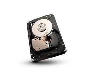 Harddisk - Seagate Cheetah 15K.7 ST3300657SS - 300GB - Harddisk - ST3300657SS - SAS2 - 3.5" - ST3300657SS