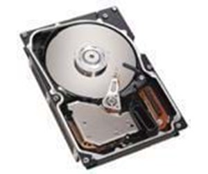 Harddisk - IBM - 450GB - Harddisk - 49Y3728 - Serial Attached SCSI - 3.5" - 49Y3728