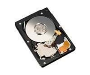 Harddisk - Fujitsu - 160GB - Harddisk - S26361-F3599-L160 - SATA-300 - 2.5" - S26361-F3599-L160